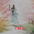 林忻瞳 - 转身即天涯