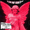 Trilla kid - My Pain Never Seems To End (Explicit)