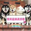 大荔枝 - 给你买扣扣