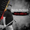 Seyda Perinçek - Şeva dilê te (Axa singa te)
