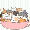 多多poi - ぼくのたからもの