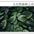 大自然 - 睡眠