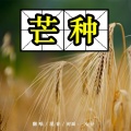 凡仔 - 芒种