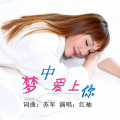 梦中爱上你
