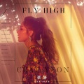 远走高飞 (韩文版|Fly High)