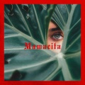 万花筒Artascope、林渝植Anoryz、CHOCKEY - MAMACITA