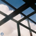 POLIDO - Jonesing
