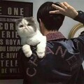 猫咪英雄 - 执迷 remix