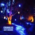 Crinkles - Thieves in the Night