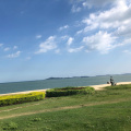 9号 - 理想等待靠岸