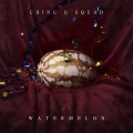CHING G SQUAD - Watermelon