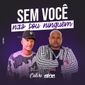 Sem Você Não Sou Ninguém (Explicit)