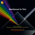 Alberto Boischio、Stefano Furini、Trio Rachmaninov、Cecilia Barucca Sebastiani - Piano Trio No. 1 in D Major, Op. 70 
