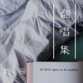 刘辰 - 我是我的情人