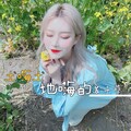 苏子孽 - 我要的