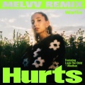 Hurts (feat. Louis The Child & Whethan)(MELVV Remix)