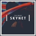 Skynet - Сид Вишес