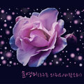 문영미(누구든 와줘요/바람소리)