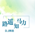 DJ阿忠 - 灯红酒绿惹人醉 (Remix)