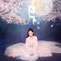 杨烁 - 月下