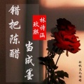 玟麒、林诗涵 - 错把陈醋当成墨