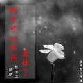 玟麒、林诗涵 - 终于可以不再爱你了