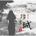 你如白马踏京城