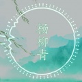 石磊Leøn、柠露Lemon - 「杨柳青」电音&二胡 (Remix)