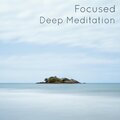 Yogi and Friends - Differential Equation