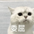 锦零 - 赤伶