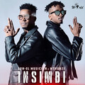 Mthunzi、Sun-El Musician - Insimbi