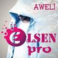 Elsen Pro - Agen Agen