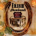 Irish Showtime Band - Save The Last Dance For Me