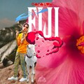 Data Luv - fiji*