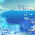 缠中易禅 - 梦幻曲