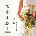 言尽、歌者南曦 - 你要结婚了