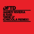 Sandy Rivera、Rae - Hide U (Chicola Remix)