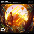 Sam Feldt、RANI - Post Malone