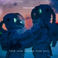 Traumer - True Love (Colors Fade Out)