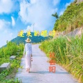 社会阳 - 迷失的眼眸