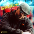 Sensation (Explicit)