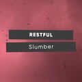 Rain Sounds Nature Collection、Forest Ambience - Sleep in the Rain