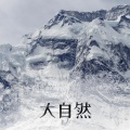 舒缓的大自然的声音 - 鸟叫声