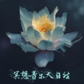 冥想音乐大自然 - 缓解压力 | 瑜伽音乐 | 禅宗 | 灵性 | 正念 | 音乐疗法 | 浓度 | 大自然的声音 | 环境音乐