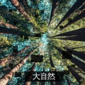 大自然 - 鸟叫的声音 | 水声 | 波浪 | 蝉鸣 | 白噪音 | 放松身心 | 冷静一下 | 轻快背景音乐
