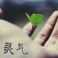 灵气 - 身体和灵魂 | 练习瑜伽 | 正念 | 冥想音乐 | 大自然 | 钢琴 | 背景音乐 | 鸟叫的声音 | 瑜伽音乐冥想放松音乐