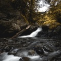 Nature Great Sounds (Loopable)