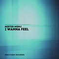 Mister Monj - I Wanna Feel (Radio Mix)