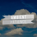 Forest Ambience、Sounds of Rain、Thunderstorms - Wet Rain