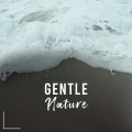 Raining Ambience、Pro Sounds of Nature - Jungle Friends